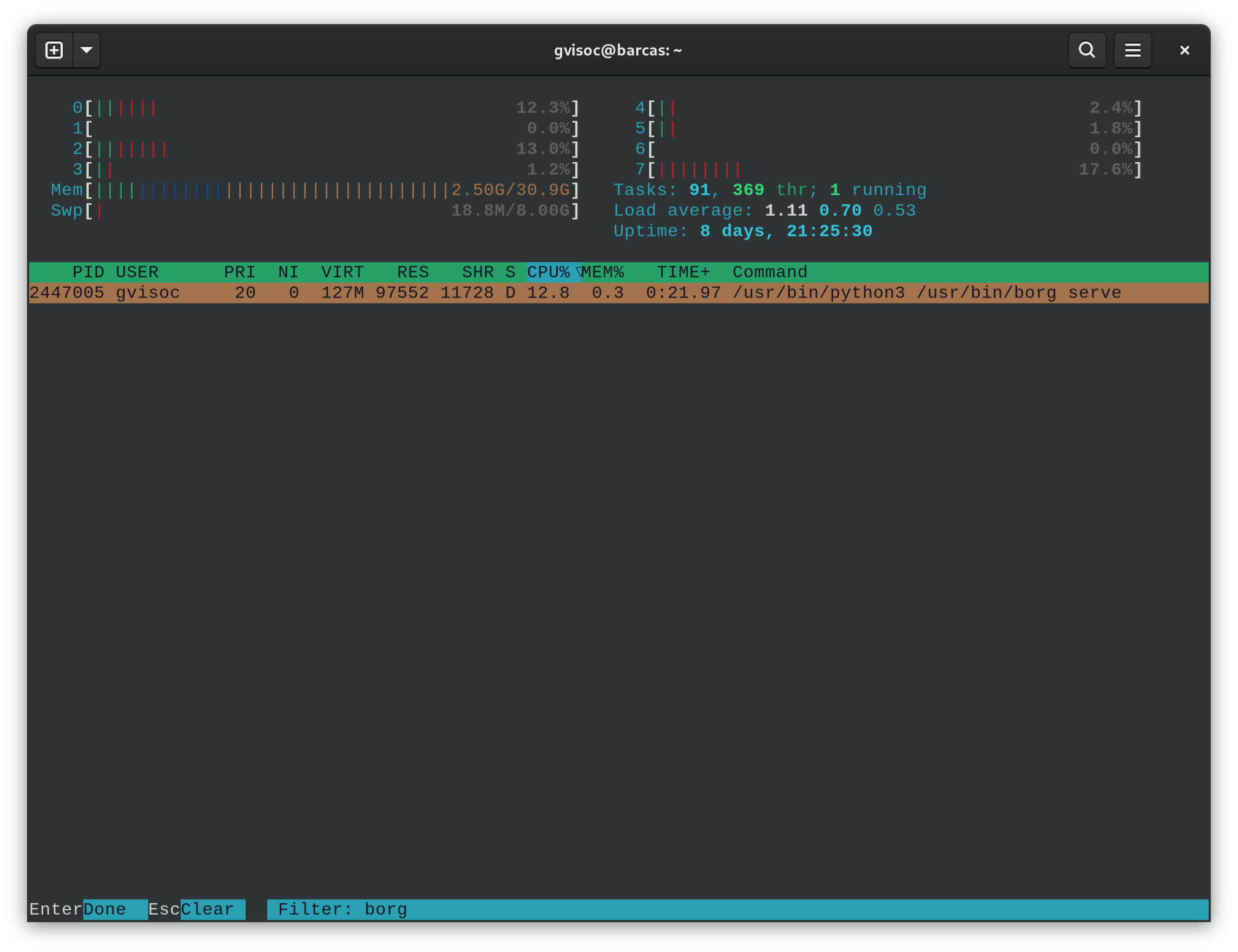 La imagen muestra un terminal de Gnome conectado al host barcas, bajo el usuario gvisoc. Dentro del terminal se puede ver la salida del comando htop, que muestra el proceso de servidor de borg realizando la verificación de integridad de la copia de seguridad, consumiendo algo menos de un 13% de CPU.